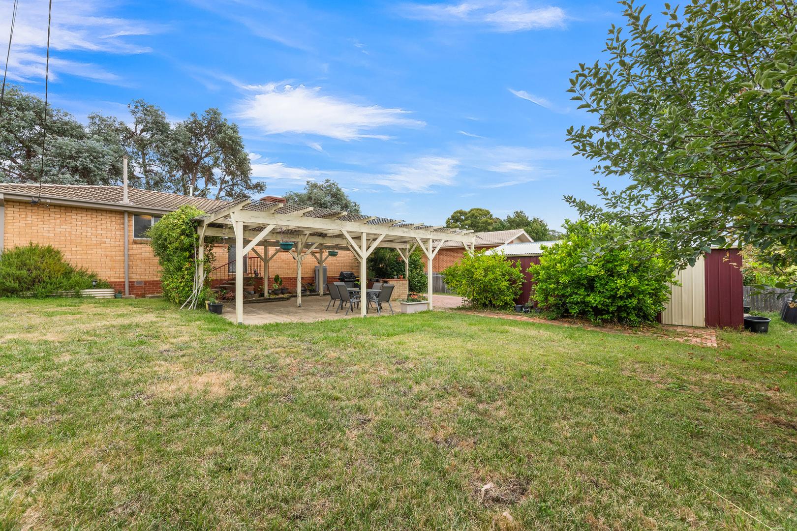 Lawn Area Garden