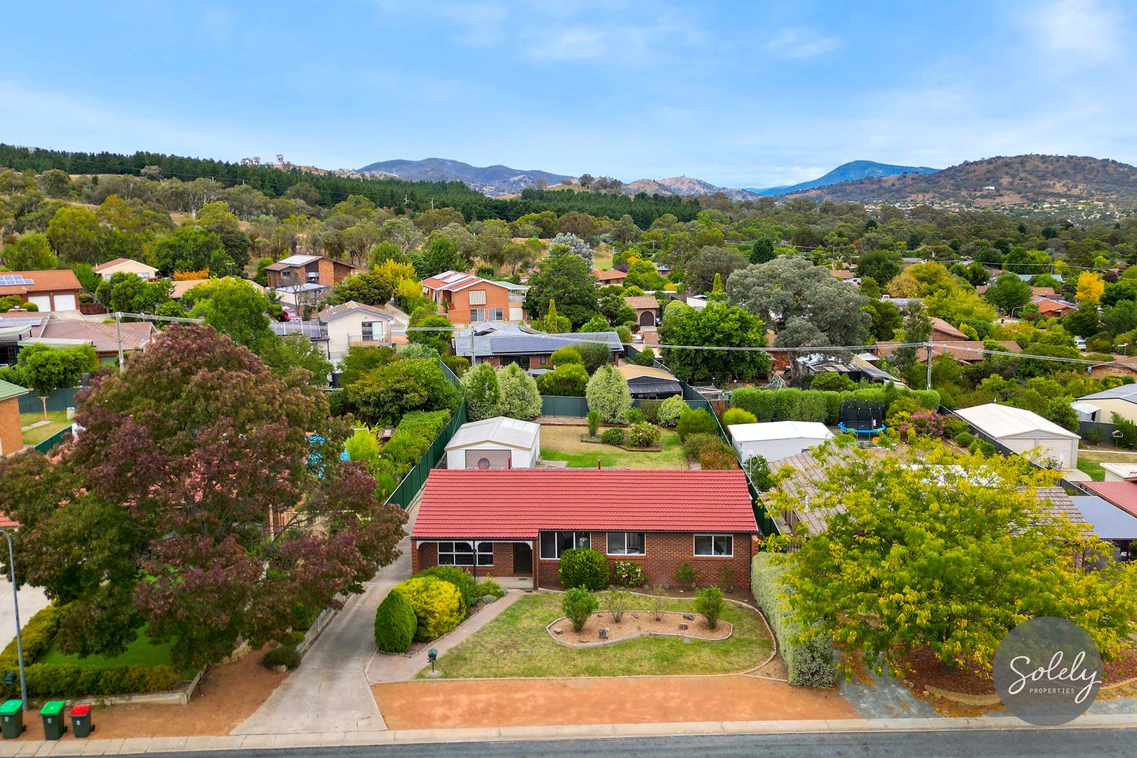 Aerial View With Trees