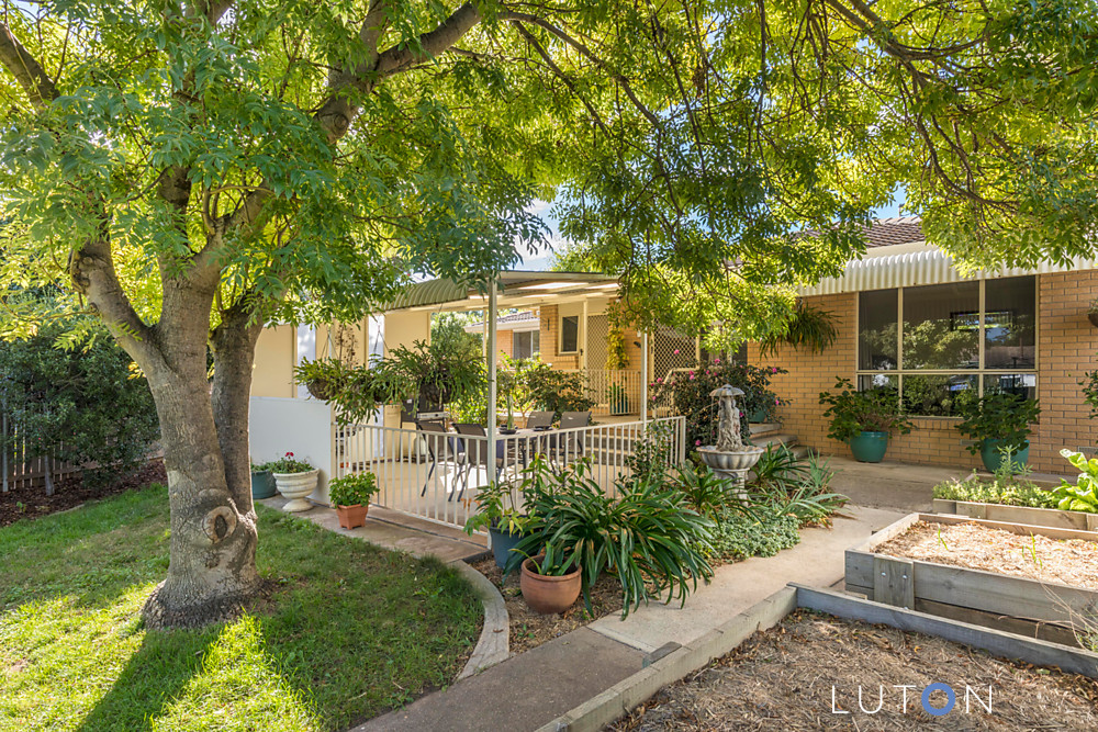 Outside Area With Tree